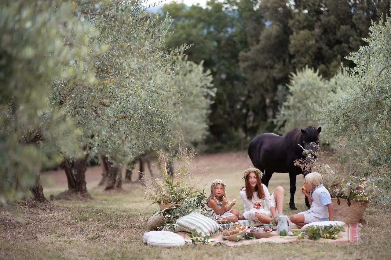 Villa Montecastello Monteriggioni Farm stay