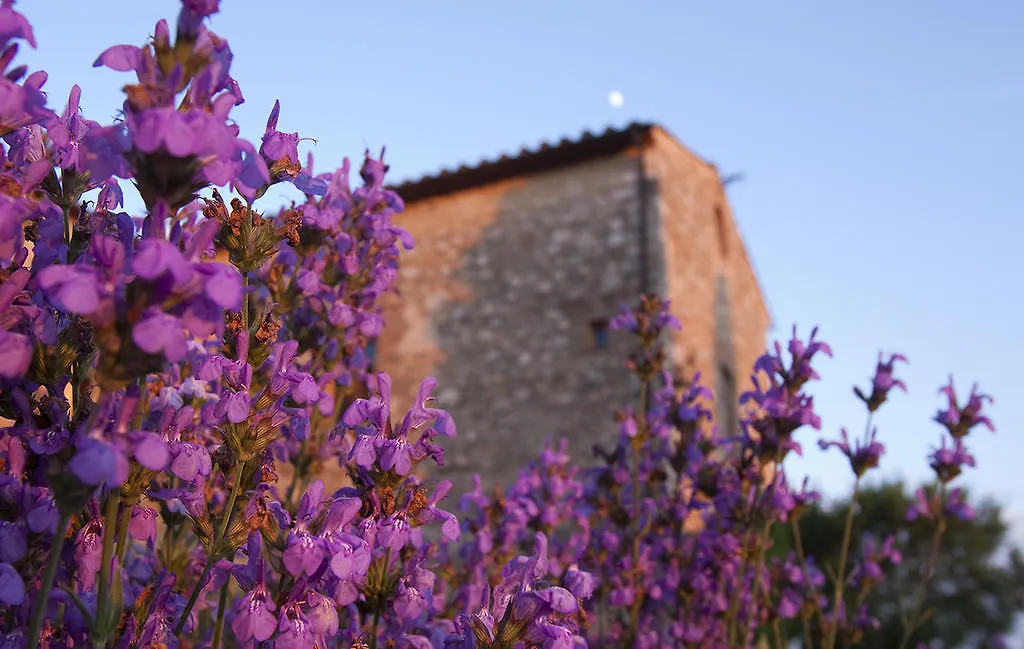 Villa Montecastello Monteriggioni Farm stay
